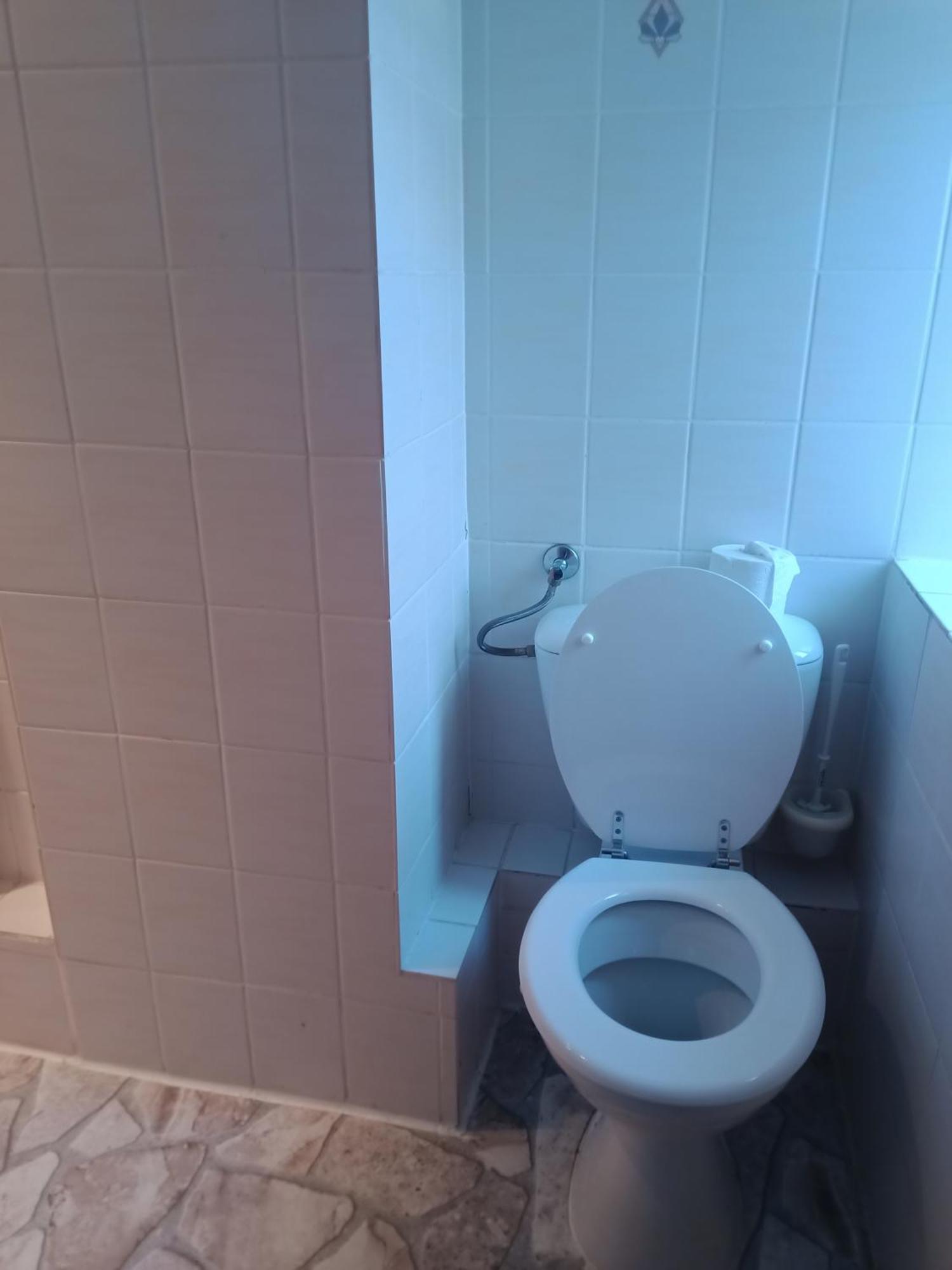 Hotel Pension Zur Tanne Цвікау Екстер'єр фото